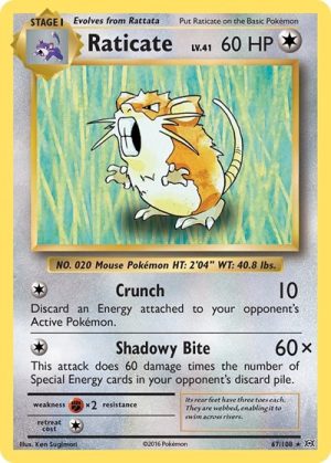 Raticate - 67/108 - Evolutions - Inglés