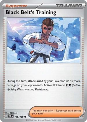 Black Belts Training 145 159 - 145/159 - Journey Together (Reverse Holo) - Inglés