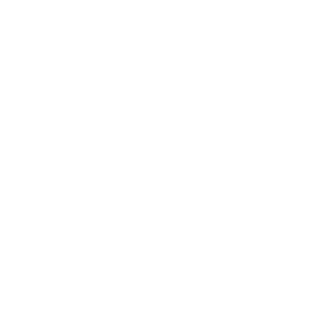 Camion
